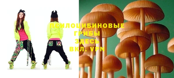 мет Ладушкин